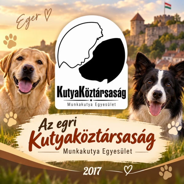 Kutyaköztársaság – chipolvasás Egerben és környékén